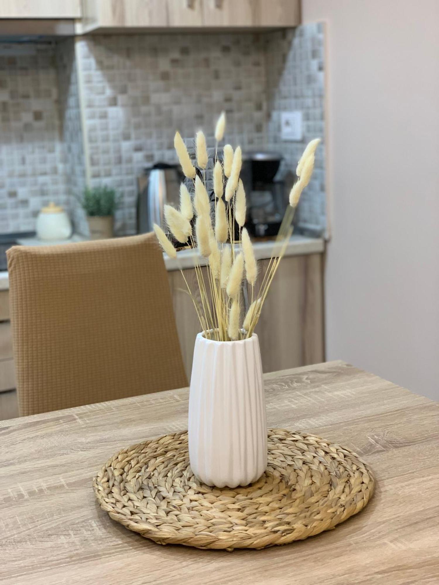 Ridi'S Comfort Apartment Shkodër 외부 사진
